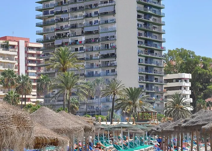 In First Line Apto 9-5